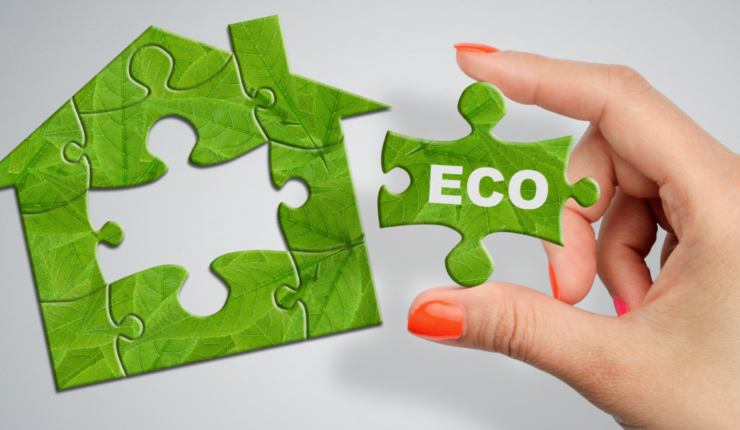 Eco-Friendly Living in Rented Spaces: A Tenant’s Guide to a Greener Home